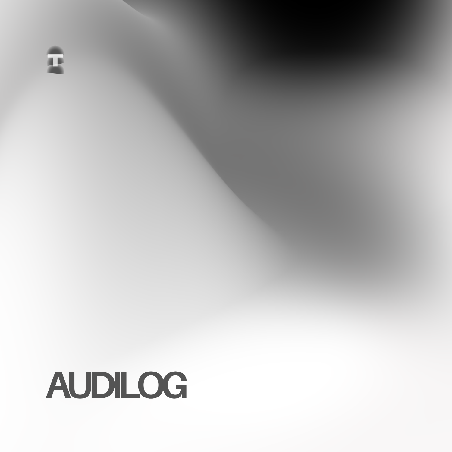 Audilog — Voice & Vision Storefronts