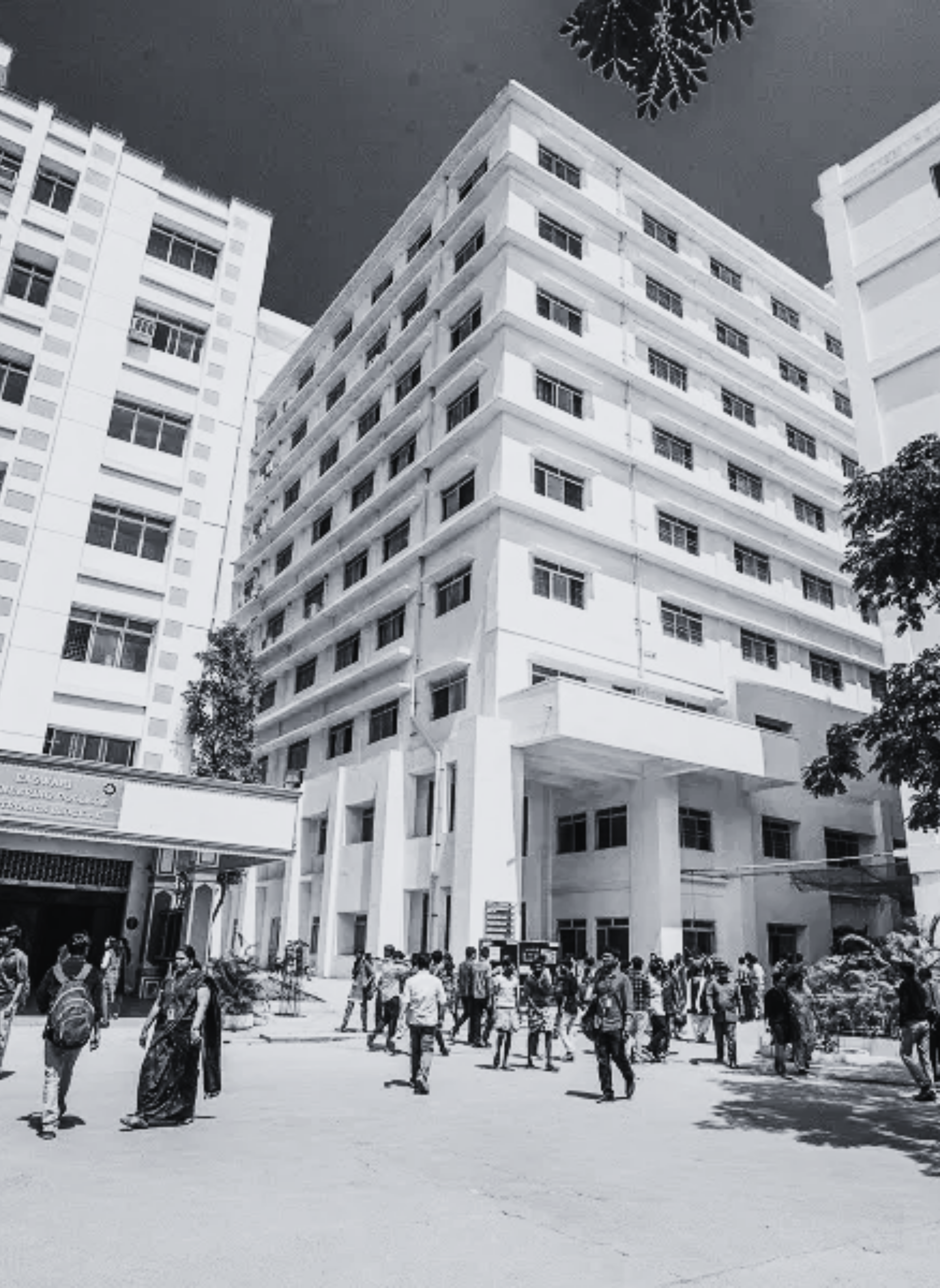 Testimonial portrait